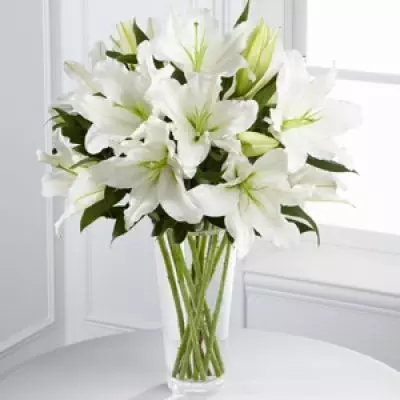 The FTD® Light In Your Honor™ Bouquet is a beautifully bright arrangement bursting with elegant fragrance to convey your deepest sympathies for the loss of their loved one. A stunning bouquet of gorgeous Oriental lilies are accented with lush greens and seated in a clear glass vase to create a bouquet that is serenely sophisticated, offering comfort and peace in their time of need.