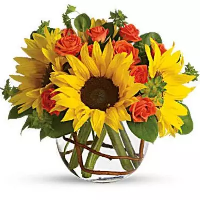 <div class="m-pdp-tabs-description">
<div id="mark-1" class="m-pdp-tabs-marketing-description">Whoever receives this stunning bouquet is sure to be bowled over by its bold beauty! It's big on fun and big on flowers.</div>
</div>
<p id="arrngDescp">Sunflowers steal the show in this simple arrangement. Also featured: green bupleurum, salal leaves and a curly willow inside the glass bubble bowl.</p>